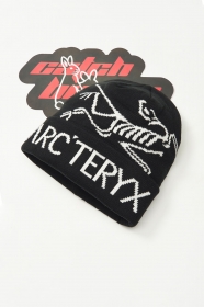 Arcteryx чёрная шапка с логотипом