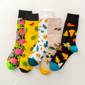 Разных цветов с рисунками и широкой резинкой хлопковые носки