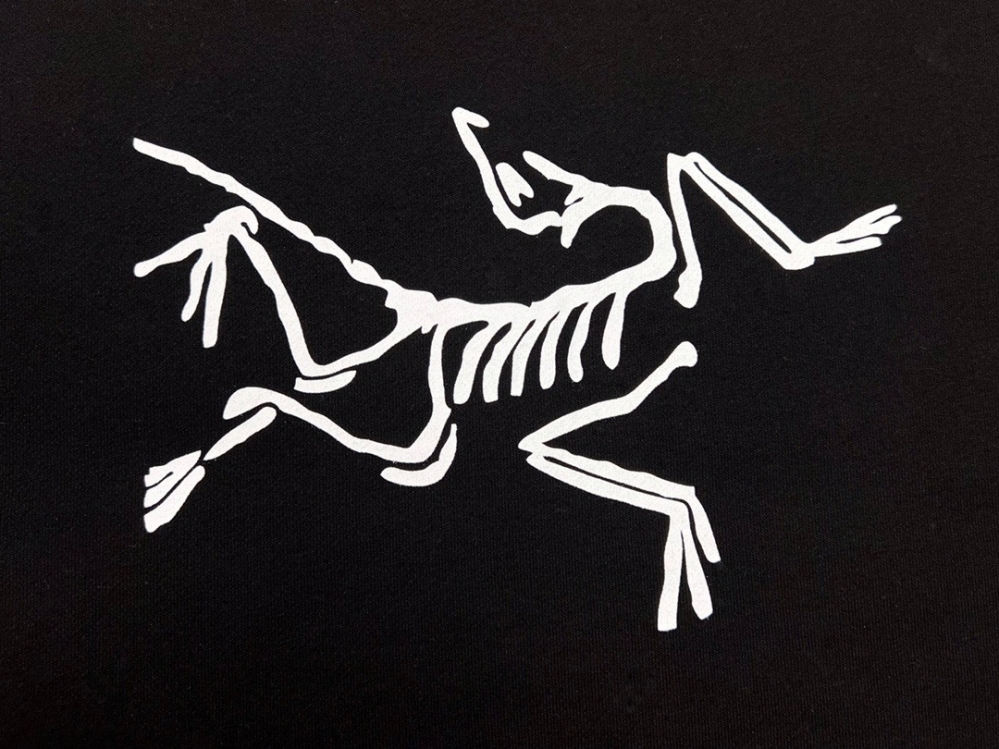 Чёрное худи Arcteryx с большим логотипом на груди