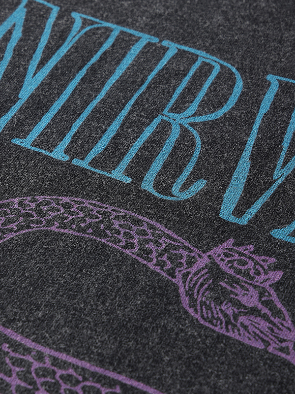 Серая потёртая футболка ARTIEMASTER с принтом змеи и надписью Nirvana