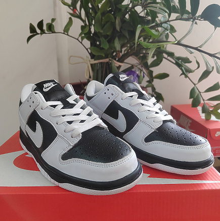 Белые кроссовки с черными вставками и белым лого Nike SB