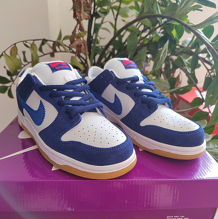 Белые кроссовки из кожи с накладками синий нубук Nike SB