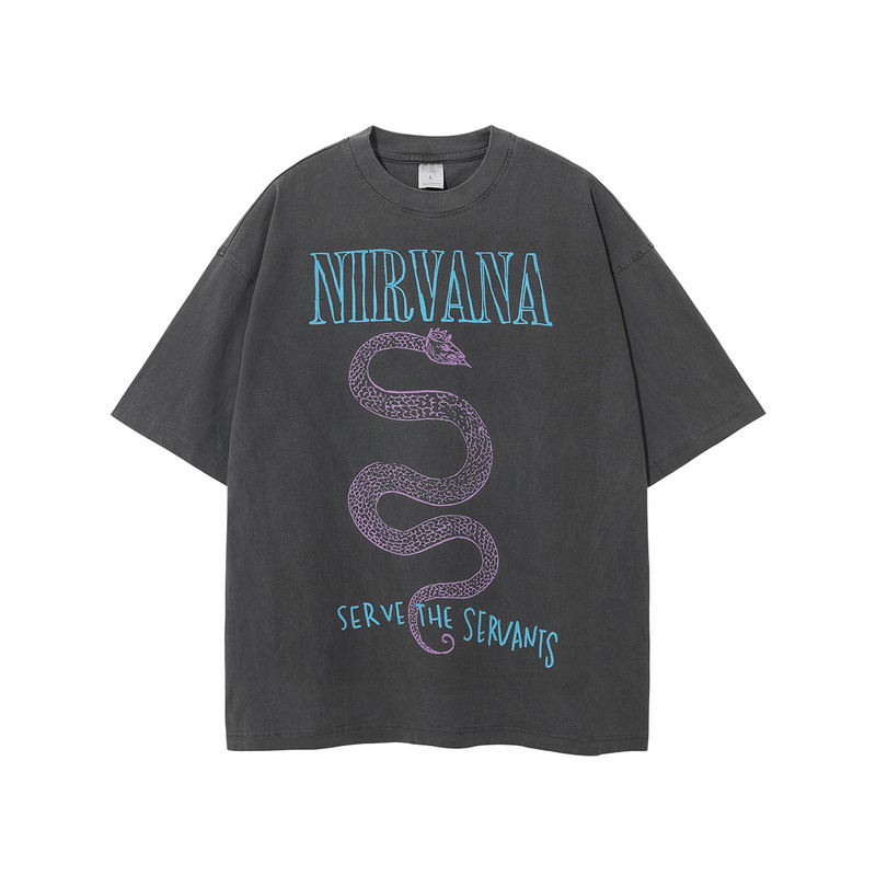 Серая потёртая футболка ARTIEMASTER с принтом змеи и надписью Nirvana
