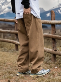 Износостойкая модель штанов Cityboy в коричневом цвете