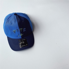 Сине-голубая бейсболка с фирменным вышитым лого Nike