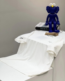 Унисекс белая хлопковая футболка  Arcteryx с принтом бренда